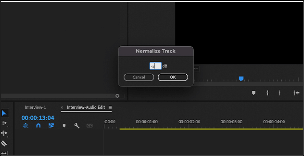 Normalisierung anpassen Premiere Pro
