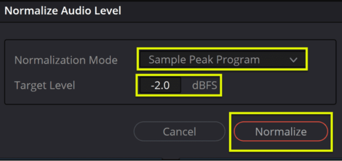 Apply normalization DaVinci Resolve