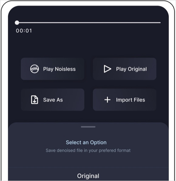 Audio Noise Reducer & Recorder