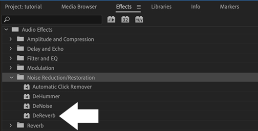 Audio with echo import into Premiere Pro