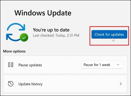 choose check for updates