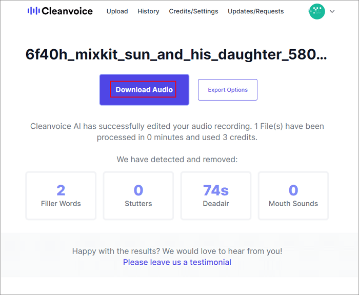 cleanvoice 下載文件