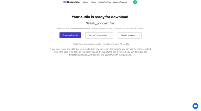 下載音訊 cleanvoice