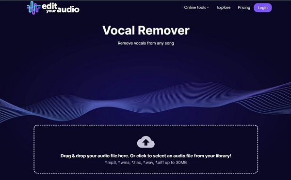 edityouraudio vocal remover