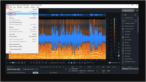 Import audio in iZotope RX