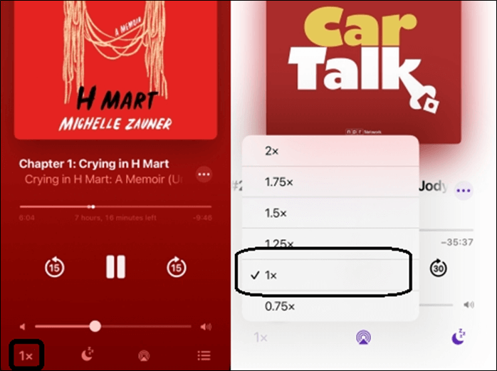 asegúrate de que está configurado como 1x en todas las opciones
