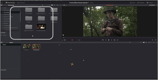 fenêtre de stockage multimédia davinci resolve