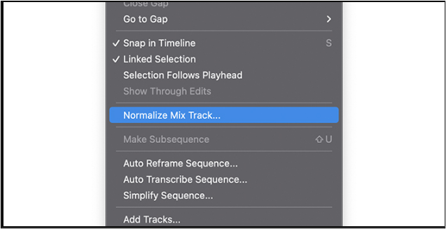 Mischspur normalisieren Premiere Pro