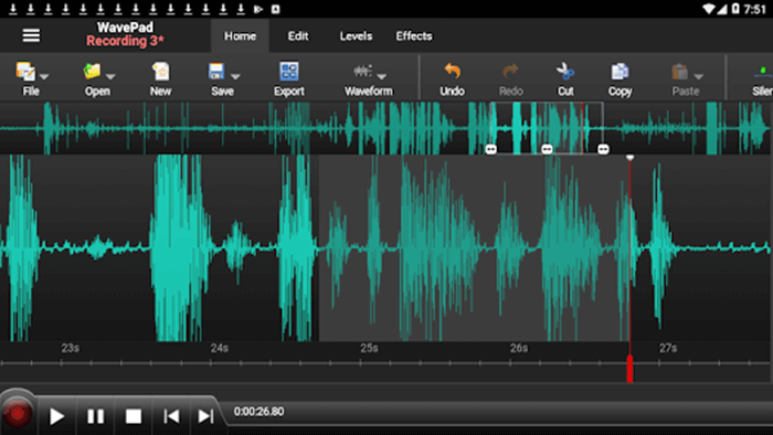Open audio on wavepad