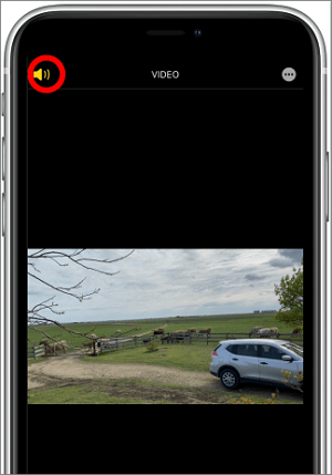 照片 點擊揚聲器