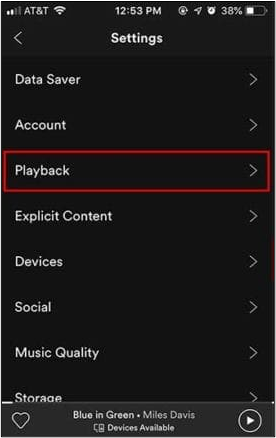 playback option spotify iphone