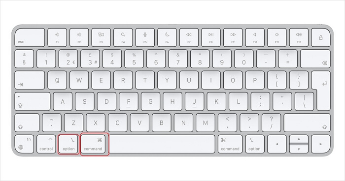 press down ALT or Option/Command