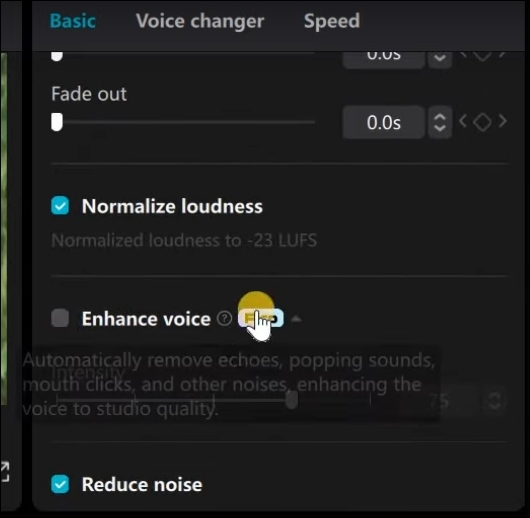remove-echo-from-audio-capcut.jpg