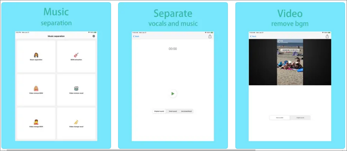 Remove Vocals-Vocal Extractor