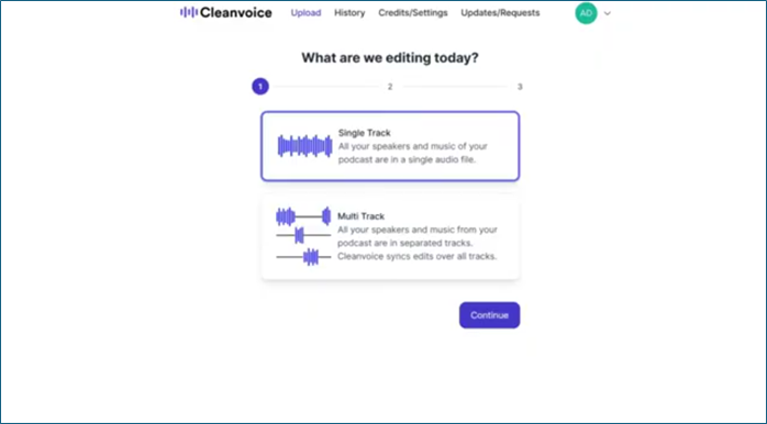 選擇曲目類型 Cleanvoice AI