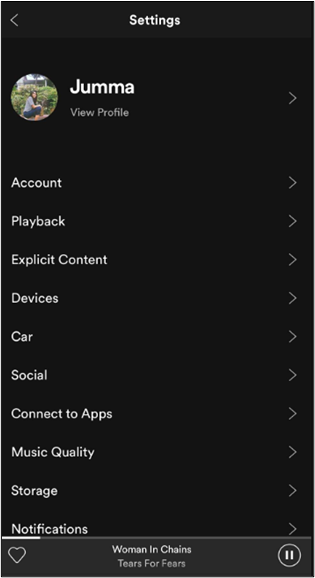 settings of spotify in iphone