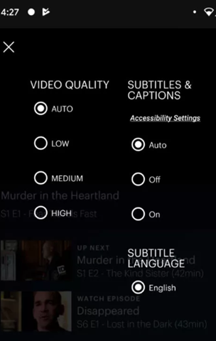 subtitle settings