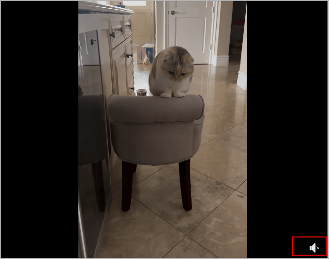 unmute facebook videos