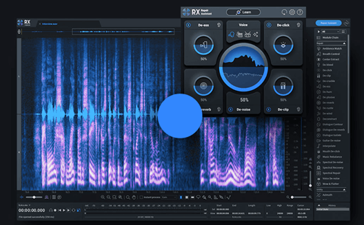 IZotope RX 10 リバーブ